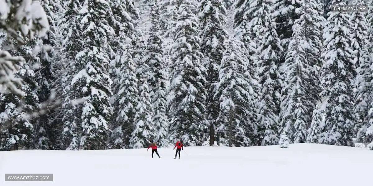 球迷专属,限量发售!🎁
